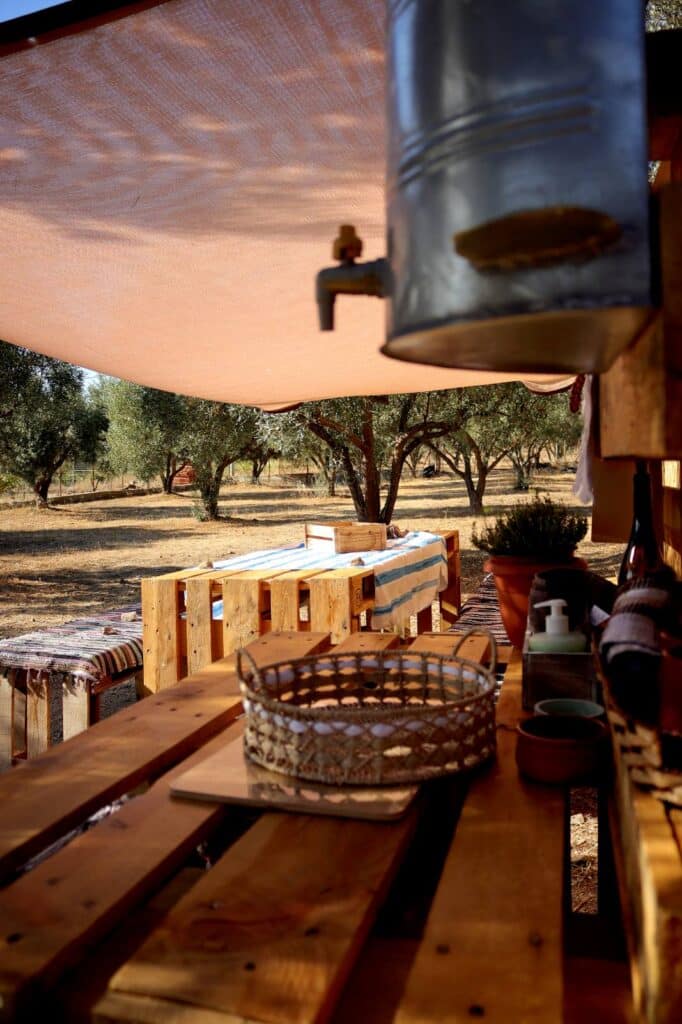 olive grove tour