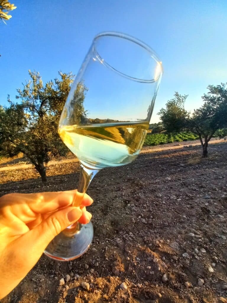 athens layover wine