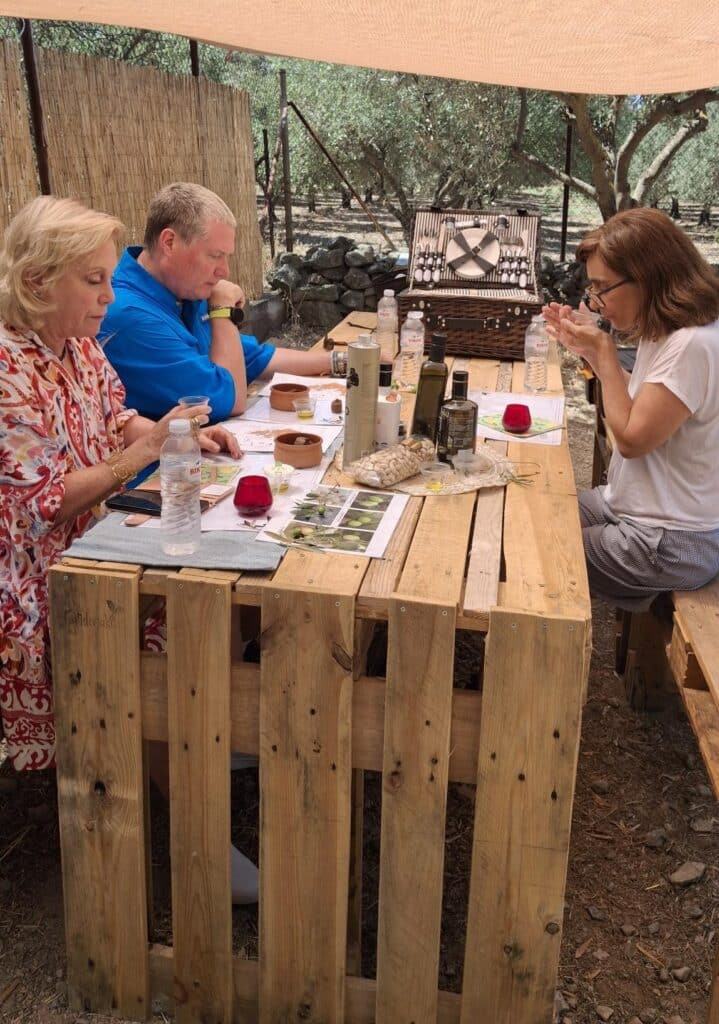 olive grove tour